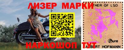 apvp Гатчина