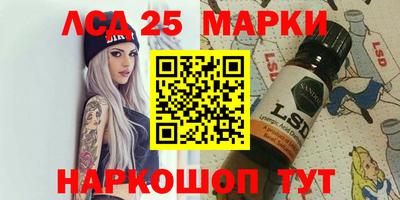 apvp Гатчина