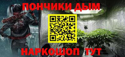 apvp Гатчина