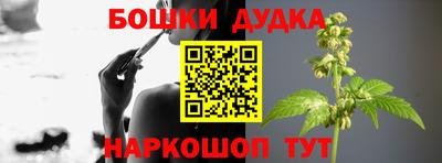 apvp Гатчина