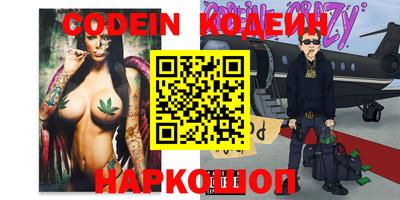 apvp Гатчина